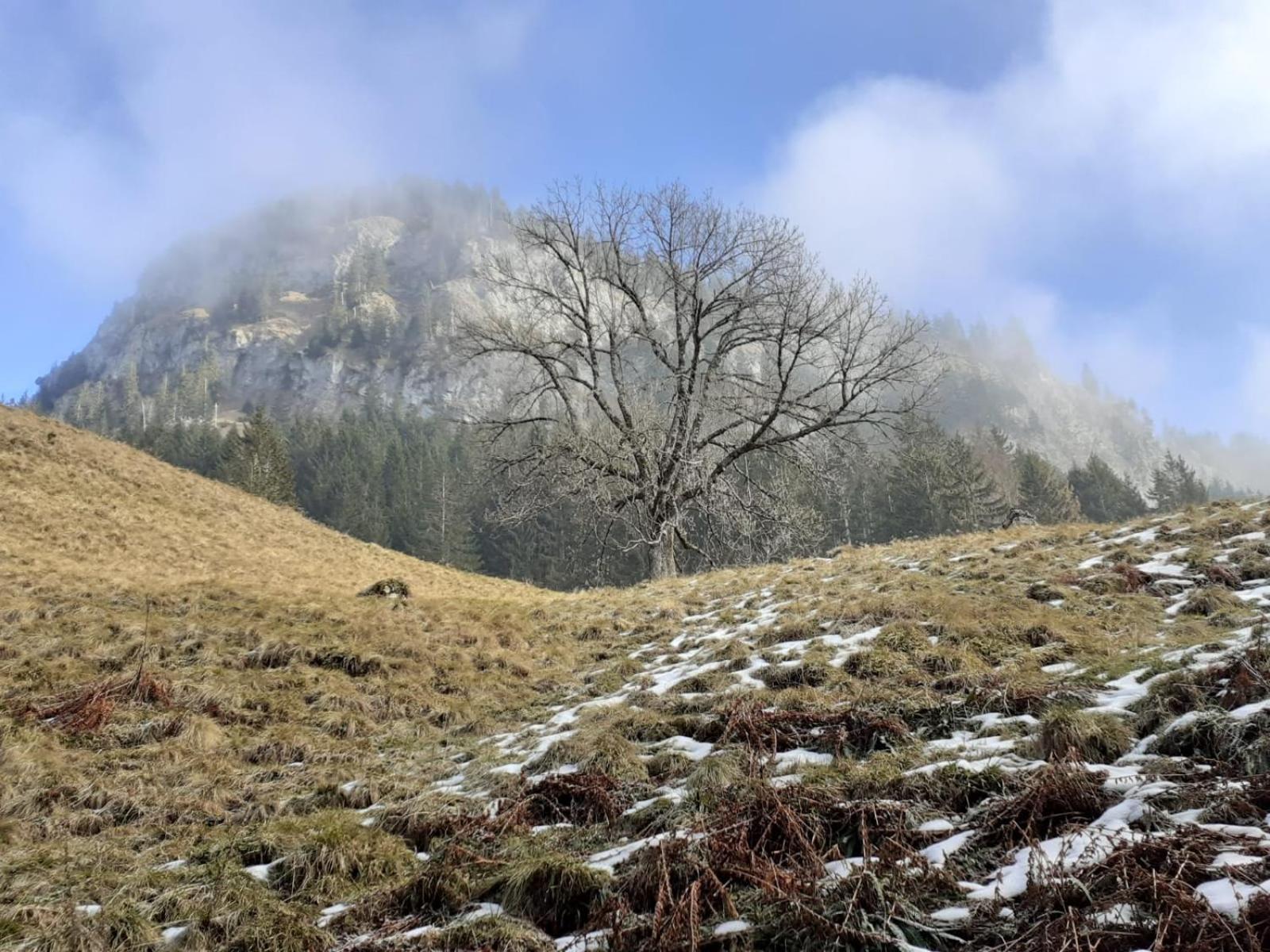 Berggasthof Sonne Allgaeu Sonthofen Eksteriør billede